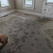 Professional-Carpet-Cleaning-Services-in-Philadelphia-and-the-Main-Line-Blue-Stream-Cleaning 1