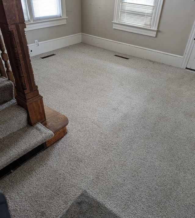 Professional-Carpet-Cleaning-Services-in-Philadelphia-and-the-Main-Line-Blue-Stream-Cleaning 2