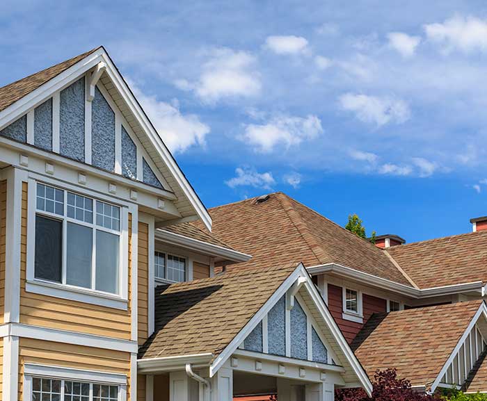 Professional Roof Cleaning Services